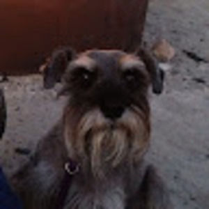 Meet your Posher, Eli